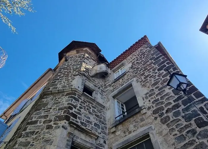 Maison au Loup - Superbe ancien hotel particulier du XVIe siècle au cœur de la vieille ville du Puy